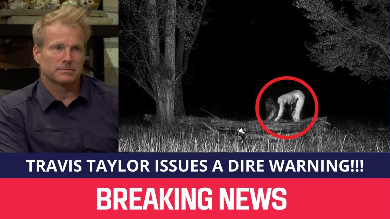 YouTube Thumbnail Downloader FULL HQ IMAGE