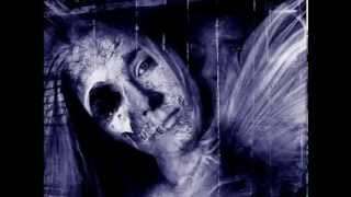 The Legendary Pink Dots - The More it Changes