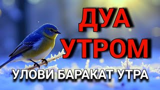 ☝️НЕ УПУСТИ БАРАКАТ 🌅 УТРА!ДУА УТРОМ! 🤲✨💯