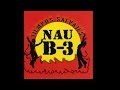 Nau B-3 - El bosque de colores (1996)