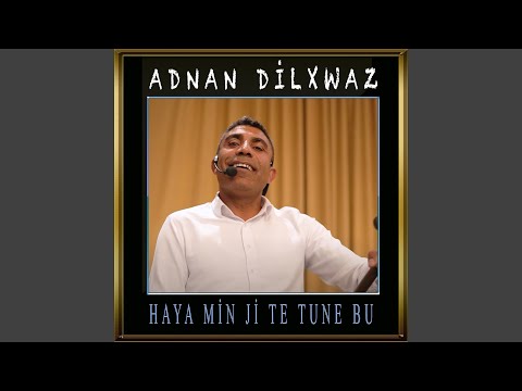 Haya Mın Jıte Tune Bu