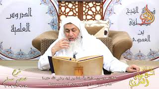 صورة مسلم ( 1231 ) فضائل زيد بن حارثة وأسامة بن زيد رضي الله عنهما ـ الشيخ مصطفى العدوي تاريخ 5 6 2024