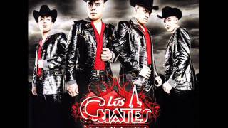 Los Cuates De Sinaloa - La Reina Del Sur