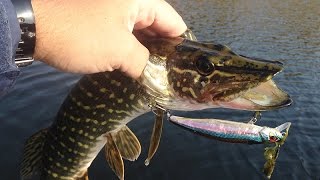 Воблеры duo tide minnow 90f