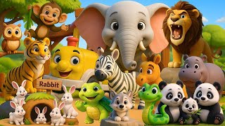 เพลงรถไฟไปสวนสัตว์ เรียนรู้สัตว์  ทายชื่อสัตว์  14 ตัว เพลงเด็กคิดส์มีซอง 2568