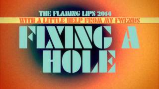 Electric Würms - Fixing A Hole