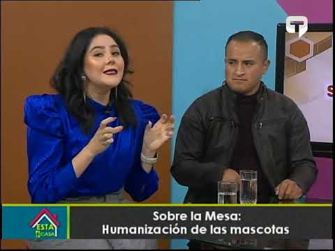 Sobre la Mesa: Humanización de las mascotas