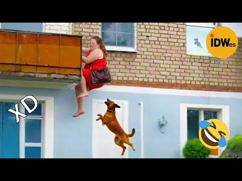 SI TE RÍES PIERDES NIVEL DIOS #392 🤣 TOP 100 VIDEOS MÁS DIVERTIDOS DE TODOS LOS TIEMPOS