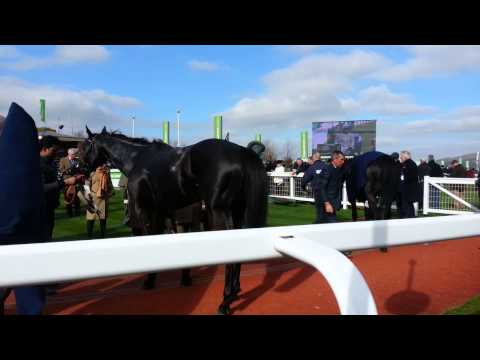 Vautour - Supreme Novices Hurdle