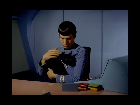 Spock Pets Small Animals Because It's Logical