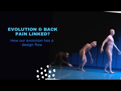 How back pain is linked to  human evolution?