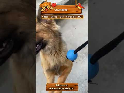 Vídeo de Churrasco