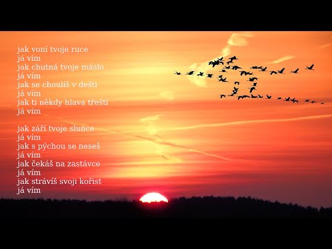 Jan Triba - Jan Triba - Vím (Znovu na cestě 2020)