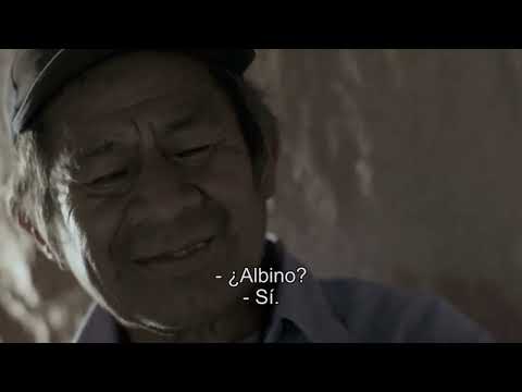 Diario Guaraní (Trailer)