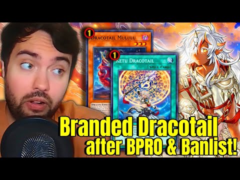 Is Dracotail the BEST Deck now?!