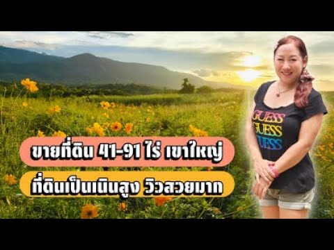 เขาใหญ่, นครราชสีมา, โป่งตาลอง, ปากช่อง, นครราชสีมา, 145,600 ตร.ม., ที่ดิน ขาย, โดย ปราบ ถิรานุสรณ์, 11052639 - DDproperty.com