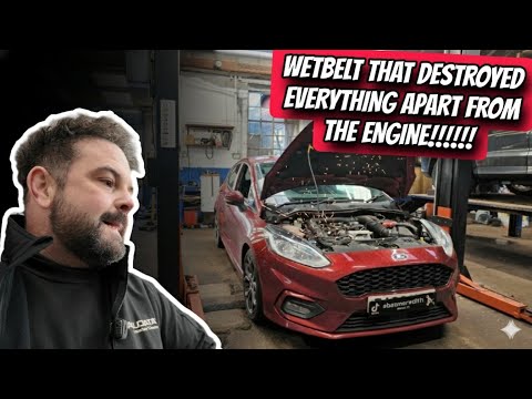 Der Zahnriemen meines Ford Fiesta (Baujahr 2018) hat buchstäblich alles zerstört, außer dem Motor...