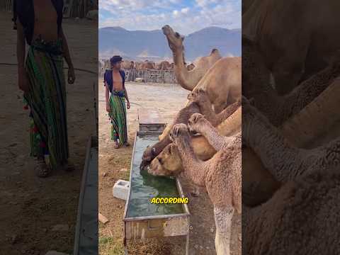 ngày 10 tháng 3, 2026