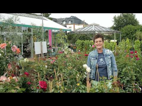 Gartenbaumschule Müller YouTube-Vdeominiatur 15