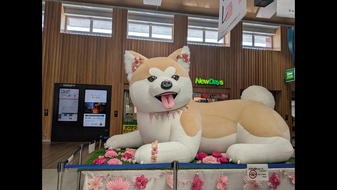 林部　智史　　10周年記念　　スペシャルプレゼント　　無縁坂　　他　サプライズ