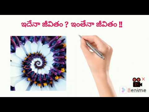 Manoj Life - live in moment