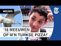 Rotterdamse meeuwenplaag: 'Hij poepte op mijn hoofd'
