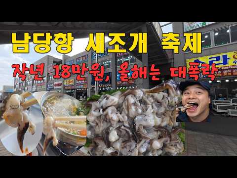 남당항 새조개 작년 18만원 하던 것이 올해는 대폭락 #새조개축제 #새조개 #남당항새조개