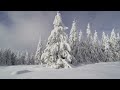 Mike Gold - Evergreen & Jingle Bells (ЁЛОЧКА)