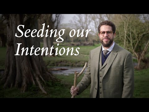 Seeding Our Intentions – Abdallah Rothman: Midday Meditations 1