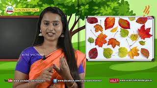 Standard 4 | Environmental Studies | Class – 11