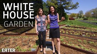 Visiting the White House Kitchen Garden by Eater