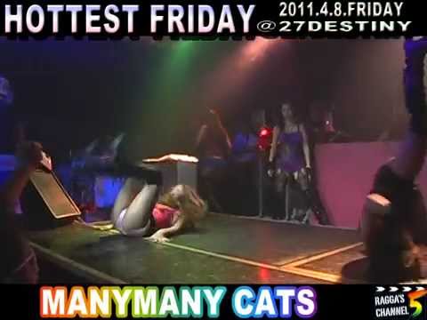 HOTTEST FRIDAY .Vol2 ～MANYMANY CATS