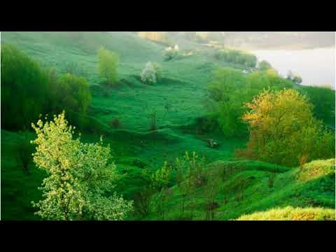 Kalvaria I Hmangaina Chun | | Nienglawmkim Sungte