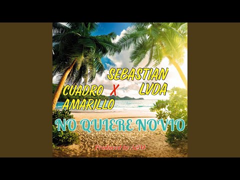 No Quiere Novio (feat. Sebastian LVDA)