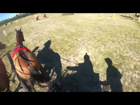 Marathon Obstacle 7 NZCDS CDT NI Champs 2022 - Carriage Driving