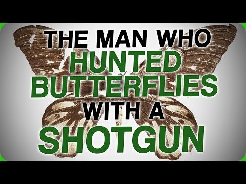 The Man Who Hunted Butterflies With a Shotgun