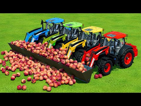 LOAD & TRANSPORT APPLES WITH STEYR TRACTORS - Farming Simulator 22