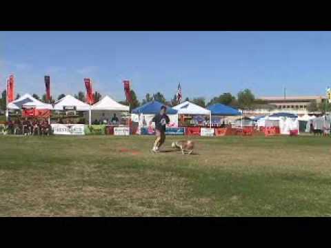 Friday of the 2008 AWI World Championships