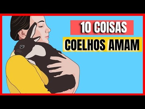 , title : '10 coisas que coelhos adoram como cuidar de coelho'