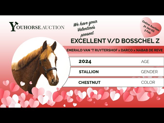 Excellent van de Bosschel