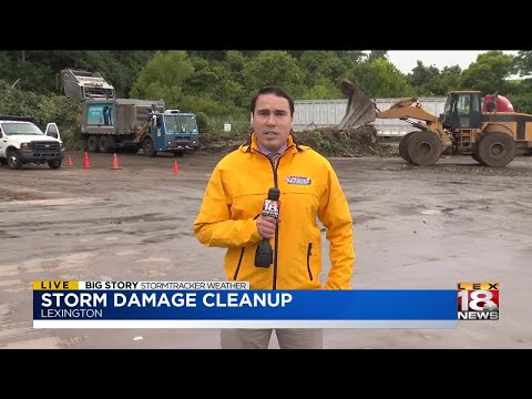 Storm Damage Cleanup