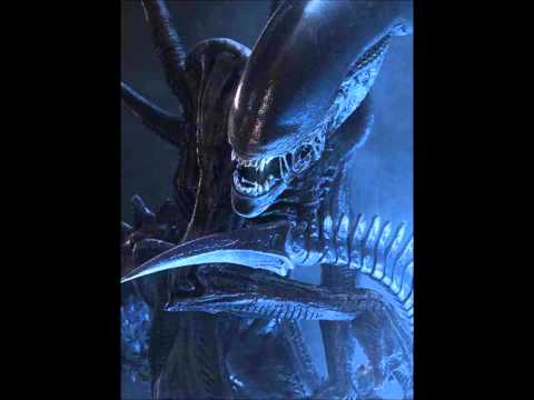 Human like machines Wetten bass live setcut 20:25 min