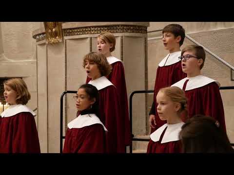 Hirten, eilt von nah und fern