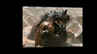 preview picture of video 'Los cien caballos del llano - Dulver Hernandez'