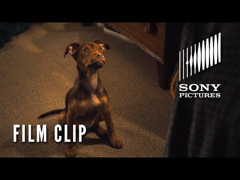 A Dog's Way Home (Clip 'It Was Love')