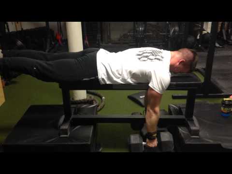 Seal Row: Dumbbell Back Training | J2FIT