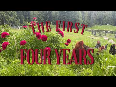 Everything We Built On Our Montana Homestead | Our Story