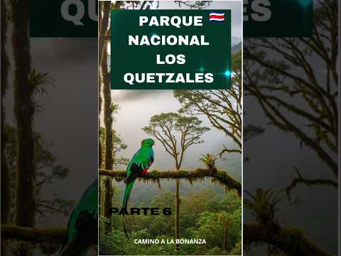 "DESCUBRE" lo que Puedes ENCONTRAR en El PARQUE Nacional Los QUETZALES 🔴 COSTA RICA