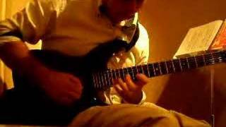 Flight of the Bumblebee - Roberto Fontana