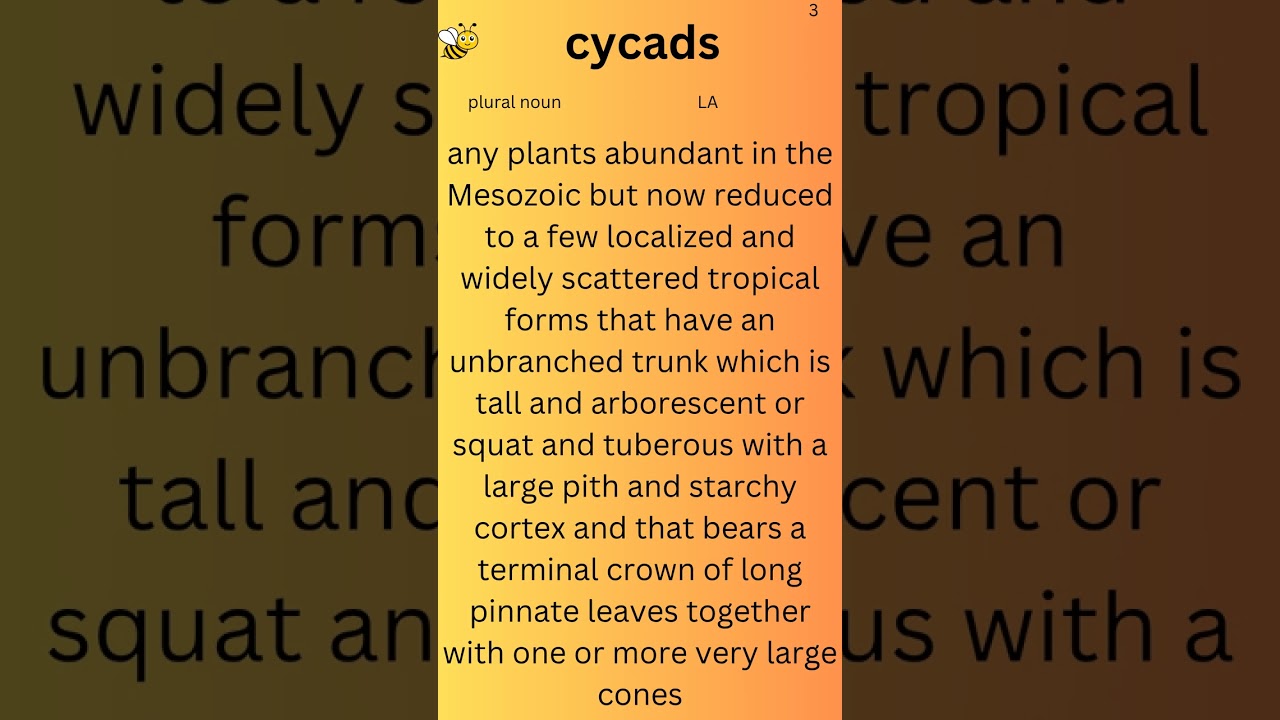 Classroom/School Spelling Bee Study List 2026